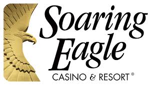 soaring-eagle