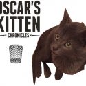 OSCAR’S KITTEN CHRONICLES