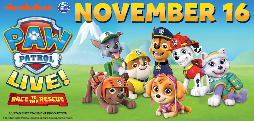 pawpatrol_large-1